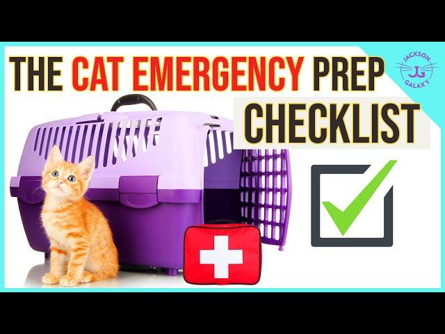 Disaster Preparedness for Cats in Emergencies!