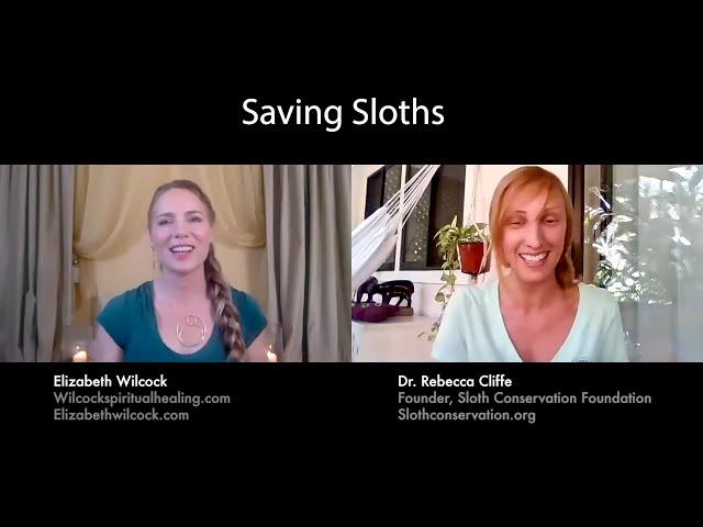 Saving Sloths: Elizabeth Wilcock and Sloth Conservation Foundation