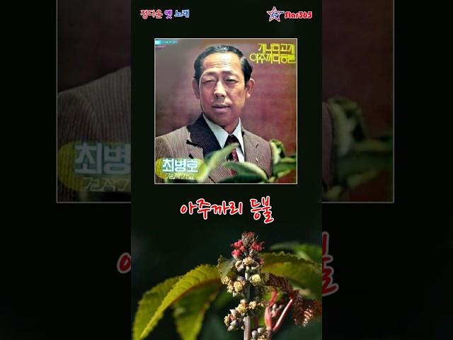 최병호- 아주까리 등불