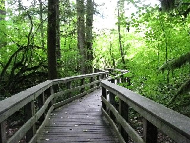 Explore Oregon Recreation: Wildwood Recreation Site