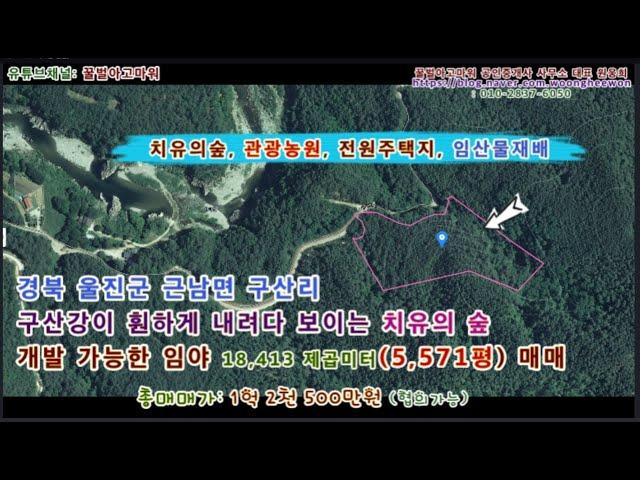 (급매) 울진군 송이버섯 자생 개발가능한 임야 5,571평 (협의가능)