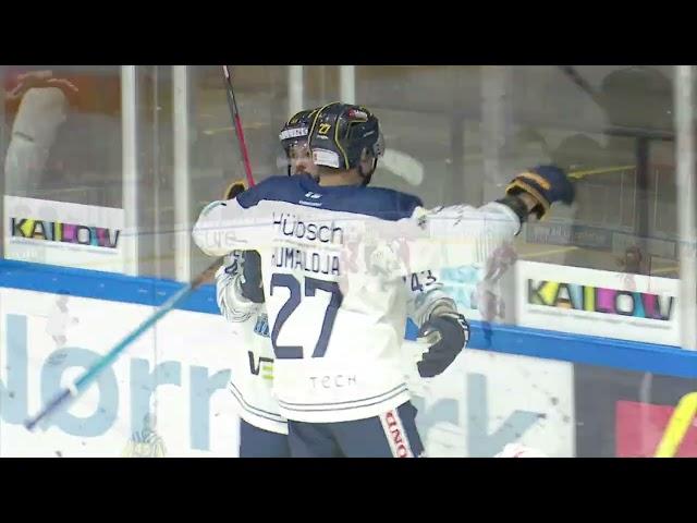 RMB -  HERNING BLUE FOX 11 OCT