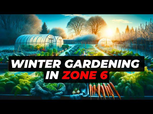 Winter Gardening Mastery: Thriving in USDA Zone 6