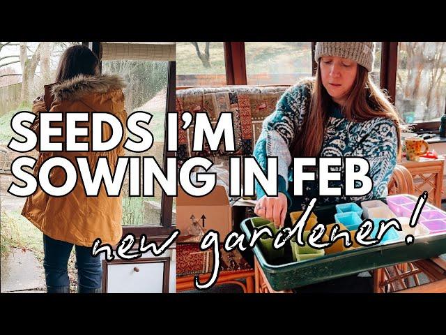 Seeds I'm sowing in February // Beginner Gardener UK