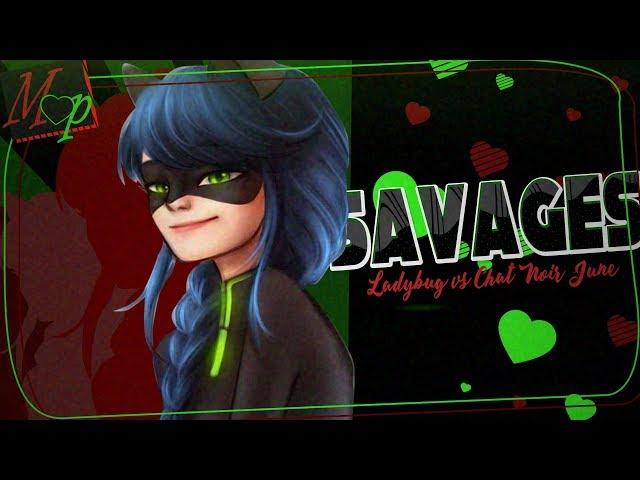 「MP」Savages // Ladybug vs Chat Noir June ᴹᴱᴾ