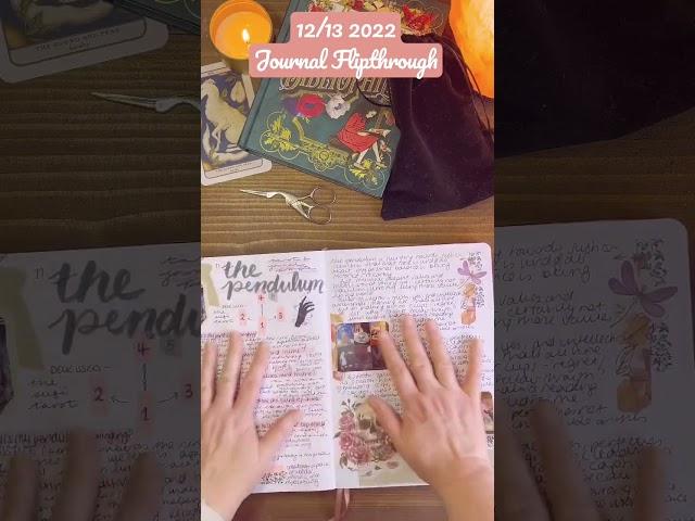 Journaling With The Moon  Full Flipthrough of My 2022 Journals Part 12/13