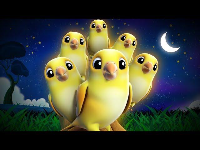 Sleep Music for Babies: Fall Asleep in Minutes - Kids TV