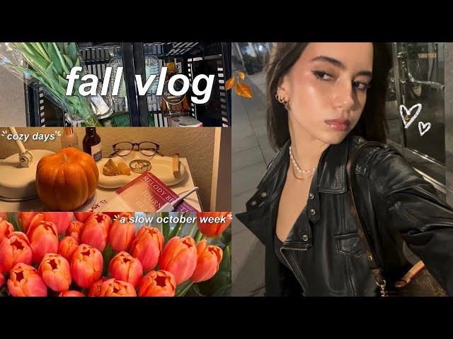 fall days in my life  | baking cookies, cozy nights in, fall groceries