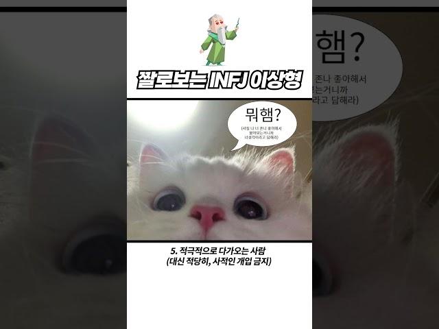 짤로보는 INFJ 이상형