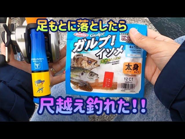 【宮城県】初心者主婦の釣り日記。2023年。穴釣りで尺越えアイナメ。