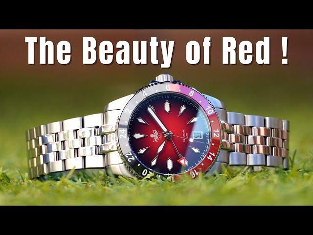 This is the best red dial GMT watch under 500$ | Phoibos Voyager