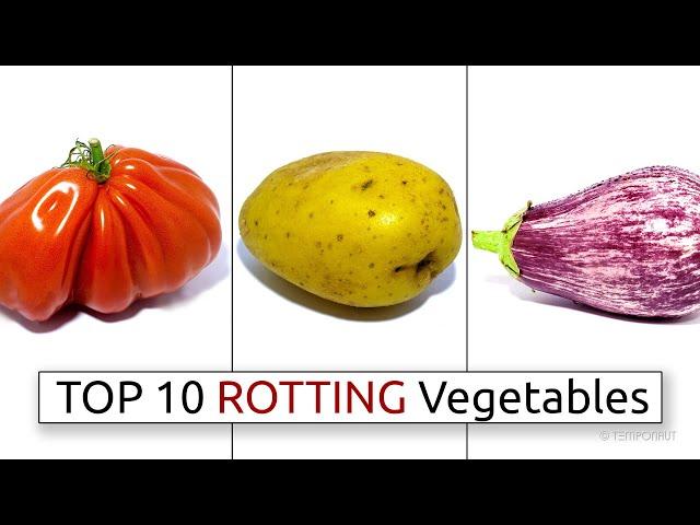 Top 10 Rotting Vegetable Timelapses