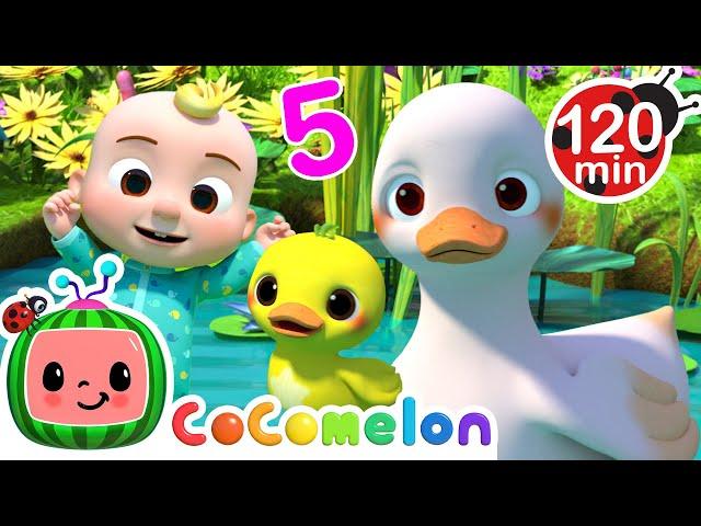 Count 5 Little Ducks with Baby JJ!  | CoComelon Nursery Rhymes and Kids Songs | Animals for Kids