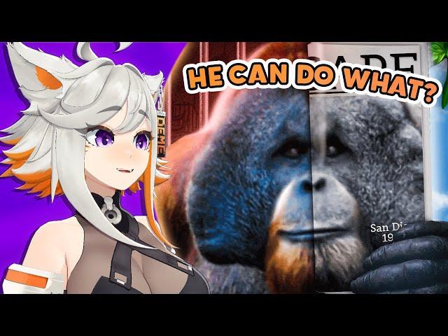 Containing This Ape Is IMPOSSIBLE! | Deme reacts to Joeseppi