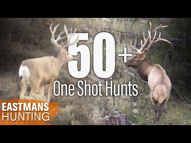 Best One Shot Kills | 50 Rifle and Bow Hunts with Eastmans' Hunting Journals