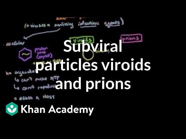 Subviral particles: viroids and prions | Cells | MCAT | Khan Academy