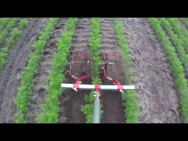 Terrateck - Double Wheel weeder hoe on carrot's