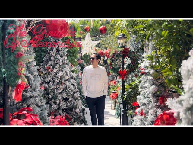 The Grounds of Alexandria | Christmas Season 2022 | Sydney Australia