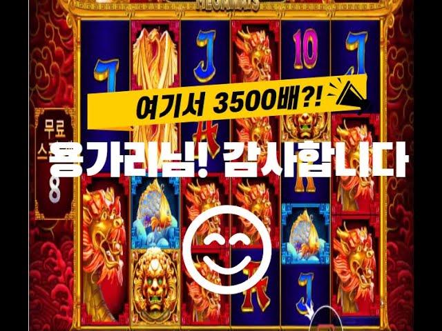 [슬롯머신] 5 라이온스 메가웨이즈 : 5 LIONS MEGAWAYS - 무심코돌렸는데 3500배 터졌다! #프라그마틱  #슬롯생방송  #슬롯매니아 #슬롯잭팟