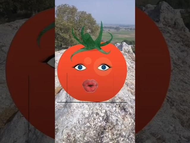 Ulta Shabd || Tomato & Brinjal