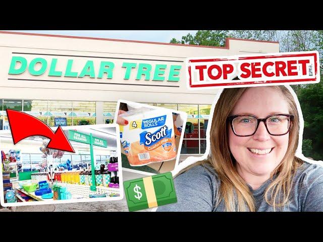  DOLLAR TREE SECRETS!  WHAT TO BUY AT DOLLAR TREE AND WHAT TO AVOID  HAUL & SHOP WITH ME