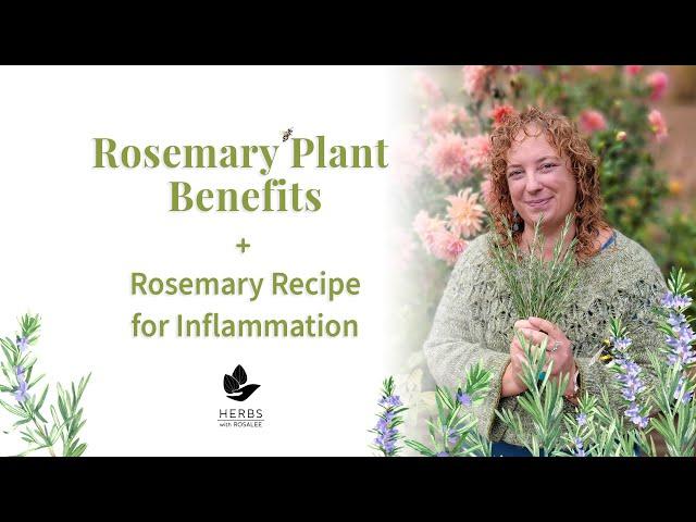 Rosemary Plant Benefits + Rosemary Recipe for Inflammation