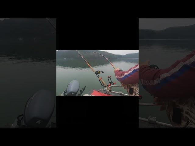 What Happens When You Catch a GIANT Catfish?