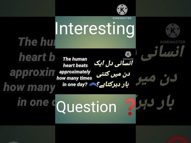 Top #Riddles in English\ #paheliya in urdu \ guess the answer\ hafizwasim99