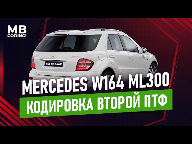 Mercedes W164 ML300 how to code the right rear fog light on. DAS Vediamo!