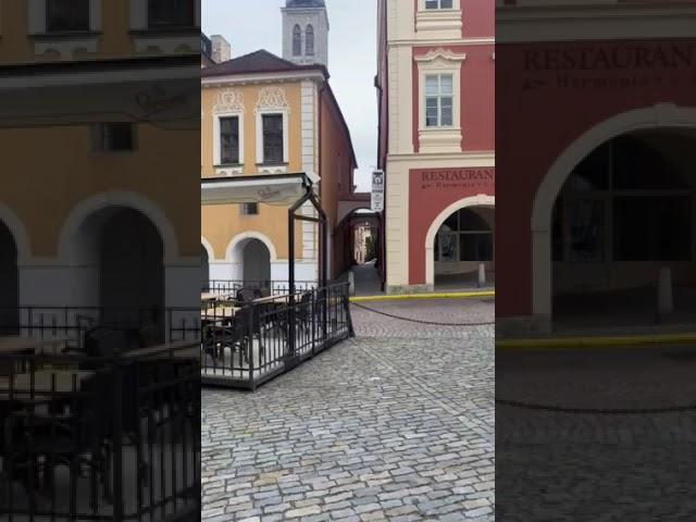6 июня 2025 г.