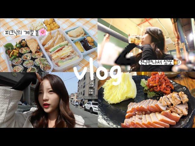 [일상 vlog] 일상으로 돌아온 간호사 브이로그‍️🩵_피크닉의 계절..봄이 왔다⎟논산가서 칼국수 맛집 찾음⎟친구만나러 대전가서 삼겹살+소맥⎟모듬 사시미+꼬치