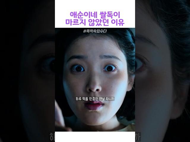 애순네 쌀독이 마르지 않았던 이유 #폭싹속았수다