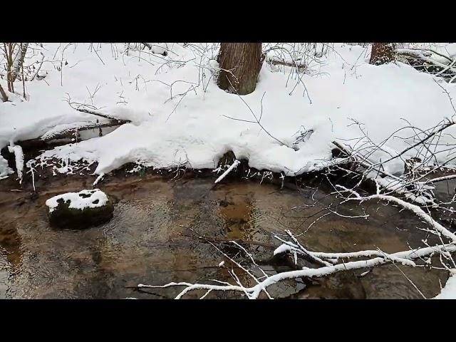 Каникулы на семейном обучении.