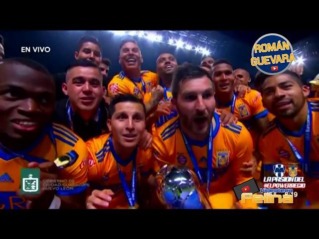 LOS GOLES Que Llevó a TIGRES al CAMPEONATO | Apertura 2017 Liga Mx