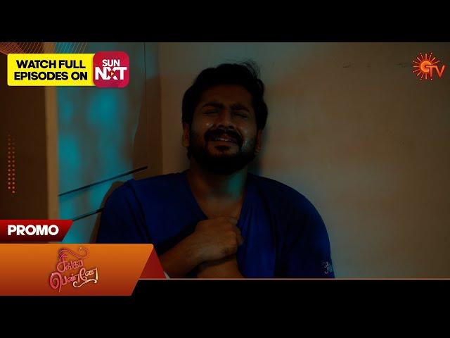 Singappenne - Special Promo | 14 Nov 2024 | Tamil Serial | Sun TV