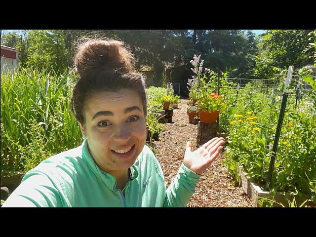 This Might Get Controversial | Full June Garden Tour