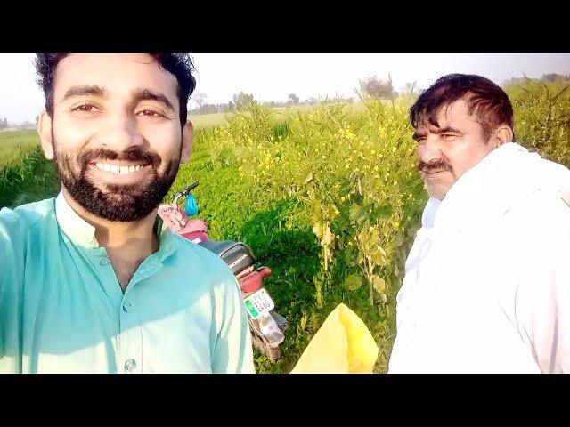 Consensus culture with daily rotation work Village life | Shafiq Ahmed Vlog