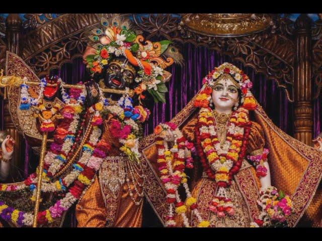 जय राधे | Jai Radhe | Soulful Radhe Bhajan, must listen #meditation #spiritual #vrindavan #slow