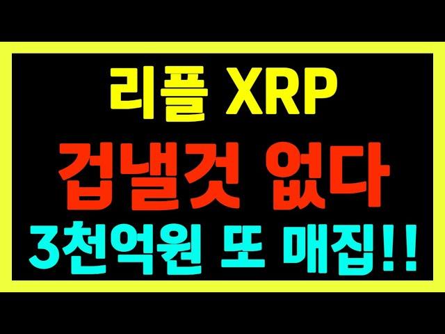 [리플] 고래들은 조정을 틈타 계속 들어오고 있다!! 절대 물량 뺏기지 말 것!! 단기 목표 5달러!!