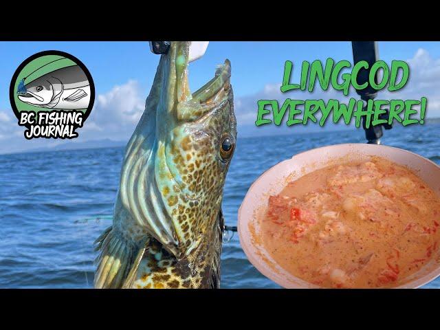 Lingcod Catch & Cook - DELICIOUS Creamy Tomato Lingcod Recipe