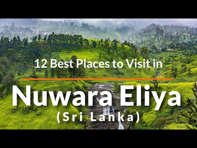 12 Top Things to Do in Nuwara Eliya | Travel Videos | SKY Travel