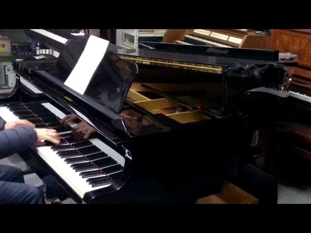 Tu sei la mia vita, Symbolum 77, piano