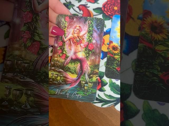 پیام فوری‌ از کائنات|فال تاروت ۴ کارتی #فال #tarot #پیشگویی  #پیام_کائنات #فال_تاروت