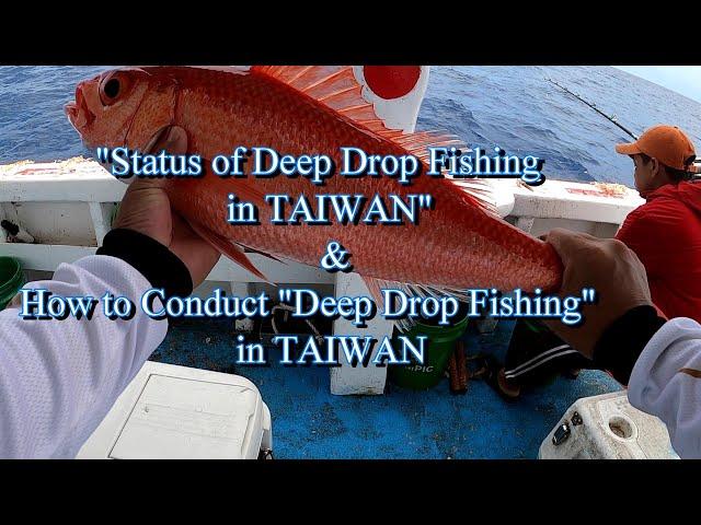 #Deep Fishing in Taiwan/Status of Deep Drop Fishing in Taiwan