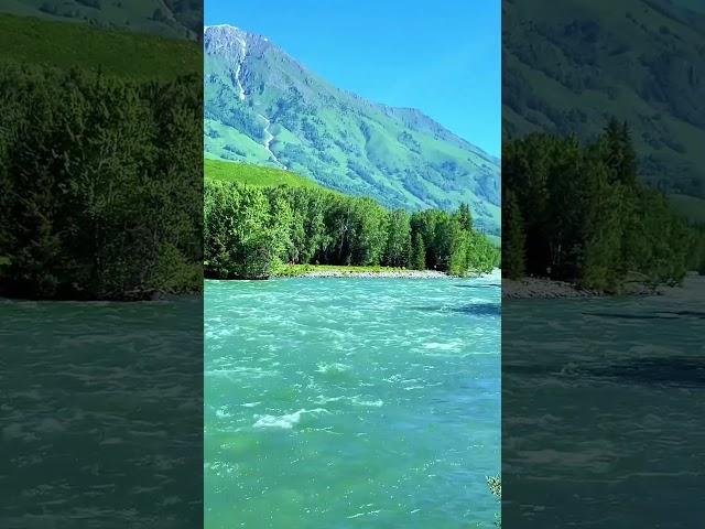 This is Kashmir Valley Heaven of Earth  #kashmir #kashmirvalley #kashmirtourism #travelxpwithmanish