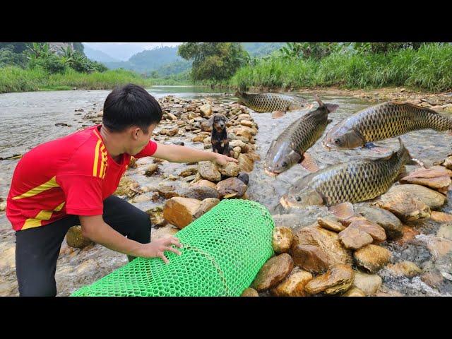 The boy Lam arranged rocks to set a fish trap in a big stream and luckily caught many big fish.