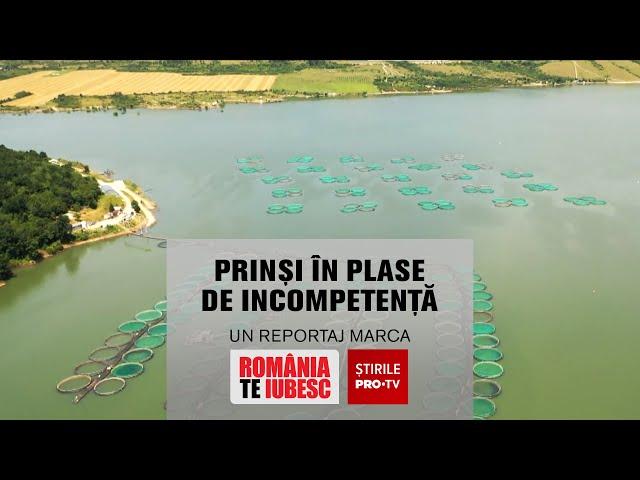 Prinși în plase de incompetență, reportaj realizat de echipa România, te iubesc!