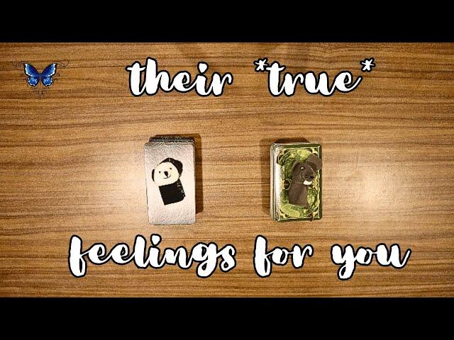 THEIR *TRUE*  FEELINGS FOR YOU  Timeless Tarot Reading 