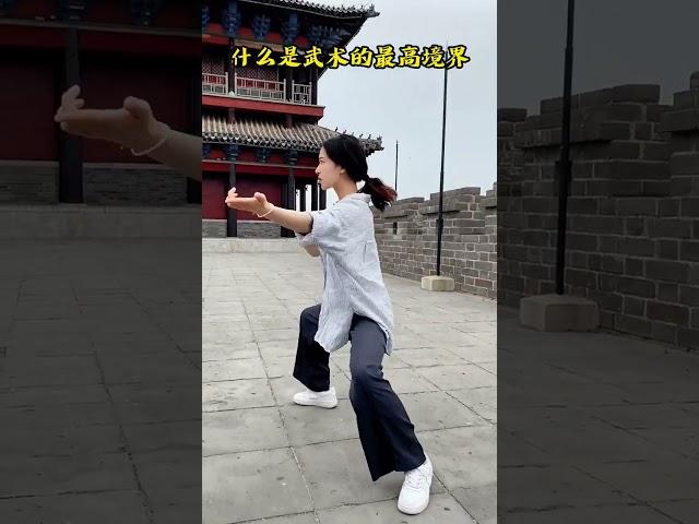 请问各位，什么是武术的最高境界？#太极拳 #武术 #功夫 #习武之人