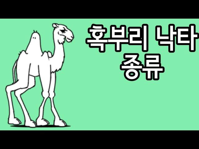 [냥코대전쟁] 낙타의 종류